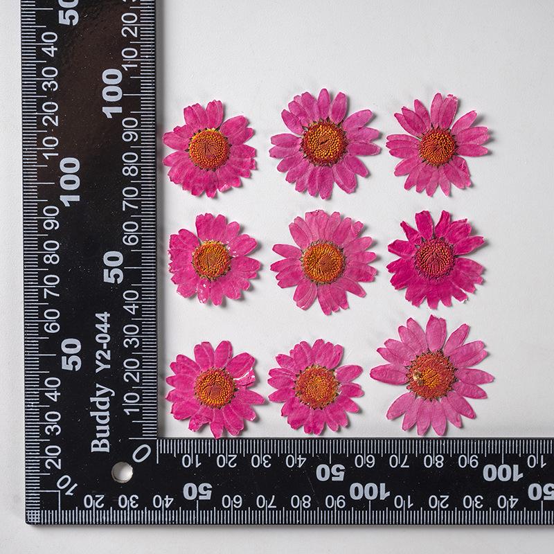 12 PCS/Set Pressed Dried Flowers for Scrapbooks Making Natural Flower For Epoxy Resin Pendant Necklace Jewelry Making Craft