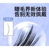 Bonnie Wisp - Glue-free False Eyelashes Clusters