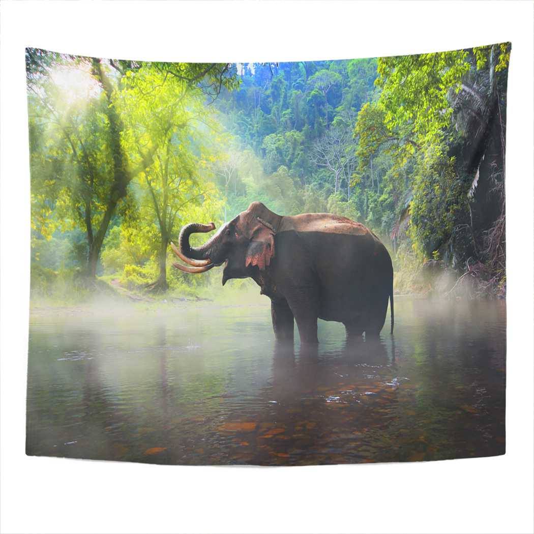 Забавный гобелен со слоном, гобелен цвета слоновой кости, украшение для спальни, комнаты, настенный тапиз 100X75CM