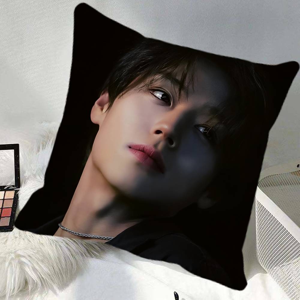 Jihoon Park Pillow Case Square Pillow Bedroom Sofa Leisure Comfort Cushion Car Home Decoration