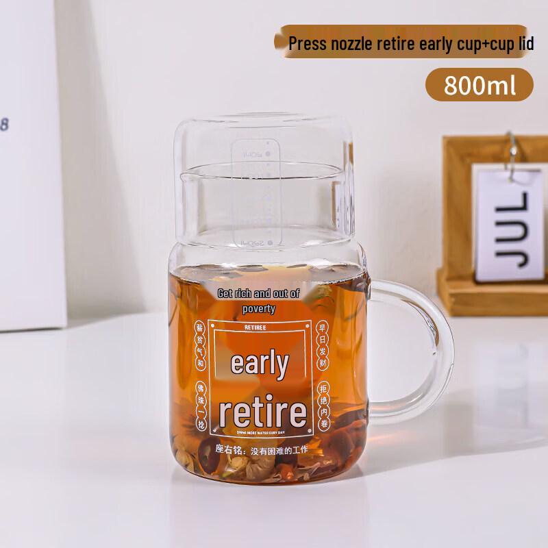 800ml Borosilicate Glass Tea Infuser Bottle