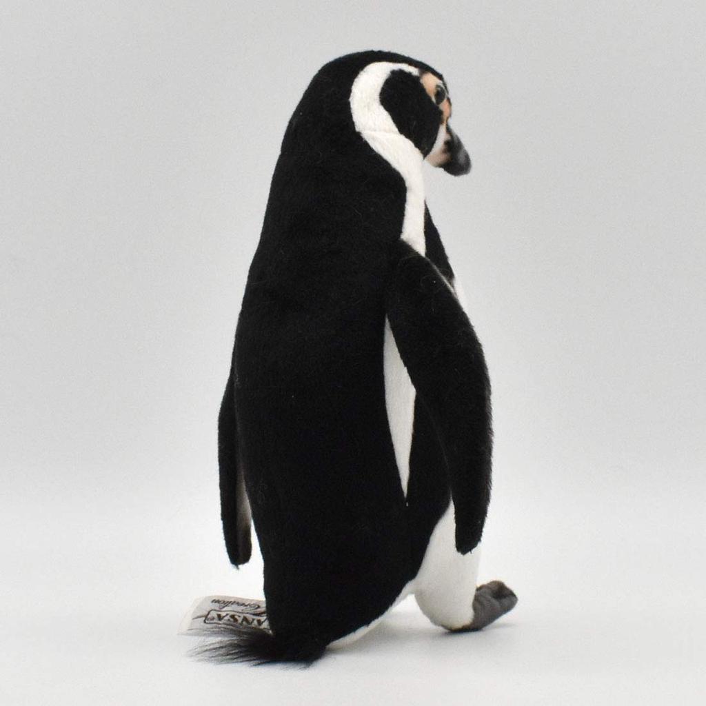 Humboldt Penguin 23 BH7093