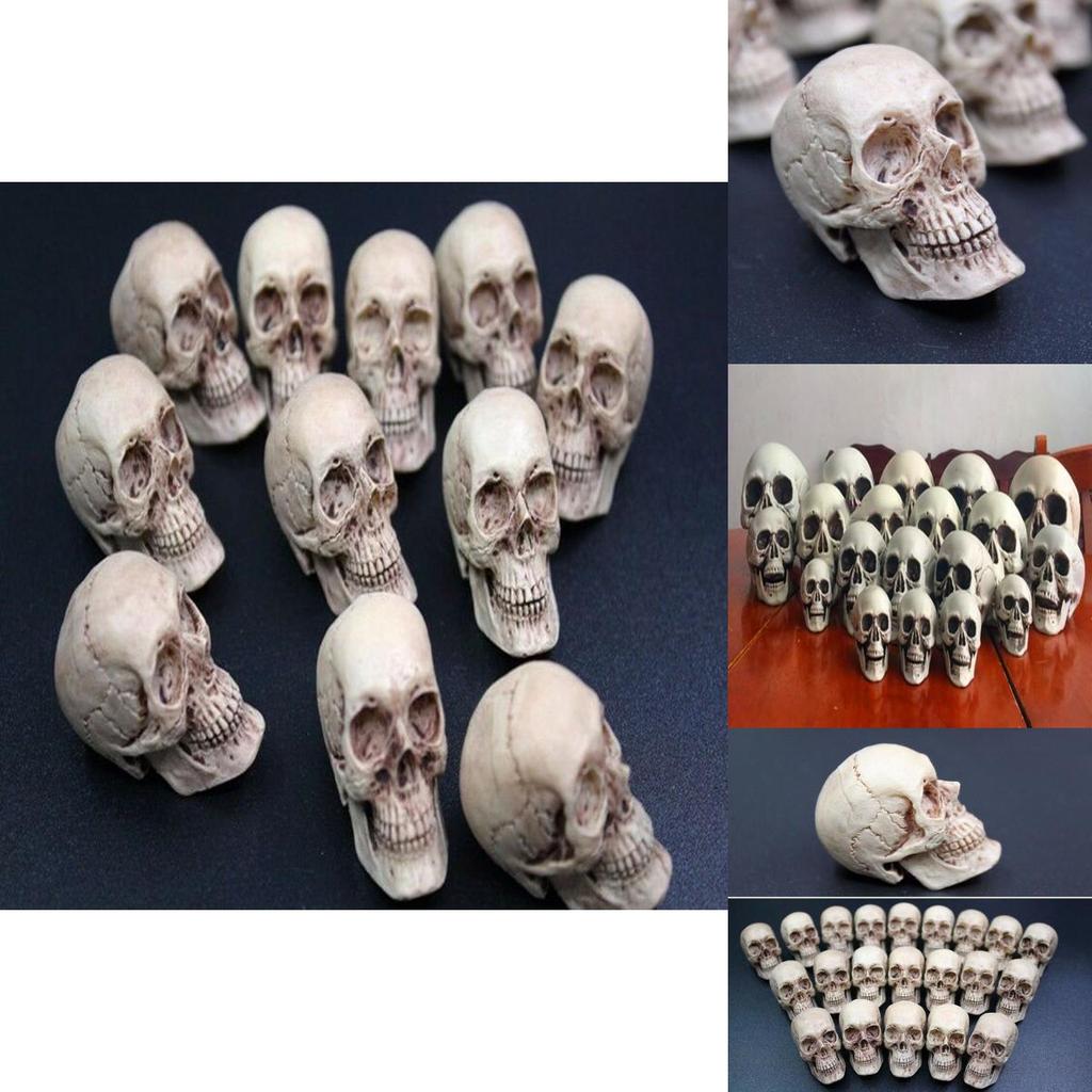 Mini Artificial Skull For Anatomical Scenes Perfect For Home Decor And Gifts