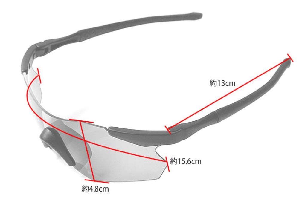 Sunglasses HOOD LTD GULLWING HOOD Custom Color [SWANS] [GUF-0051]