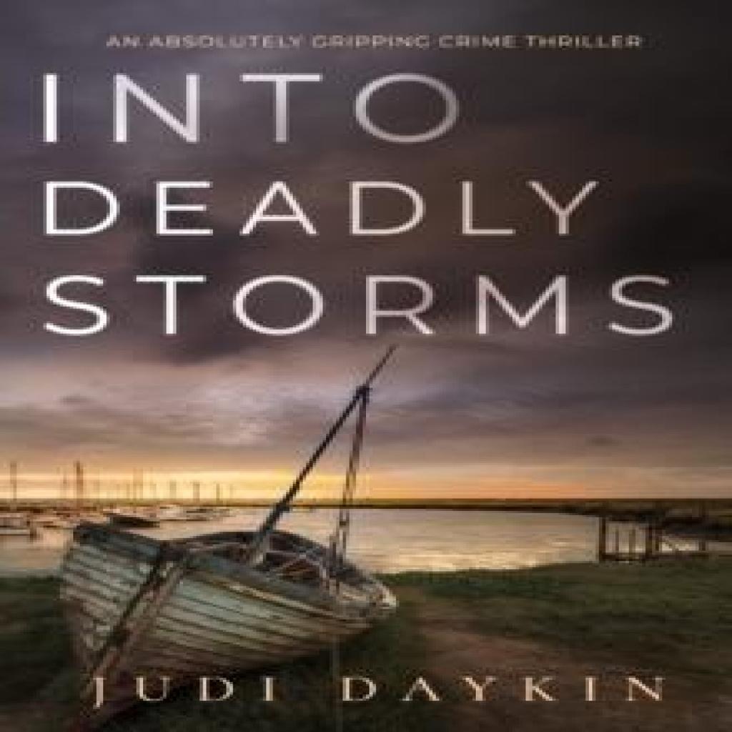 Into Deadly Storms by Judi Daykin Paperback Book 9781804059104