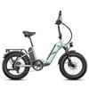 Electric Bicycle All Terrain Fafrees FF20 Polar 500W Motor 20" Fat Tire Adult Electric Bike 48V 26.8AH 7 Speed Max Load 150Kg