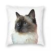 Ragdoll Cat Square Pillowcase Polyester Linen Velvet Pattern Zip Decorative Throw Pillow Case Home Cushion Cover