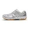 Wave Fang Pro Low Top Badminton Shoes Unisex Sneaker Silver 71GA210090