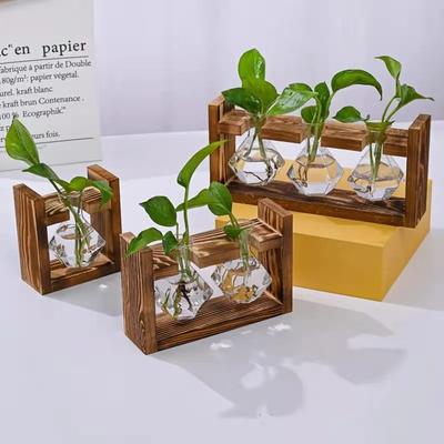Creative Wooden Frame Hydroponic Small Vase Green Ivy Plant Glass Bottle Container Home Living Room Office Desk Decoration YLE53