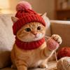 Îmbrăcăminte și încălțăminte – Căciuli pentru câini