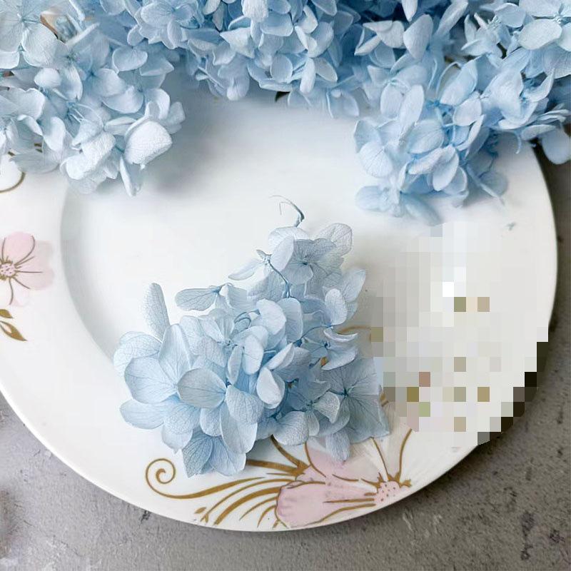 Blue Series Dried Flower DIY Kit: Hydrangea, Thousand-Layer Gold, Eucalyptus Leaf Souvenir Decoration