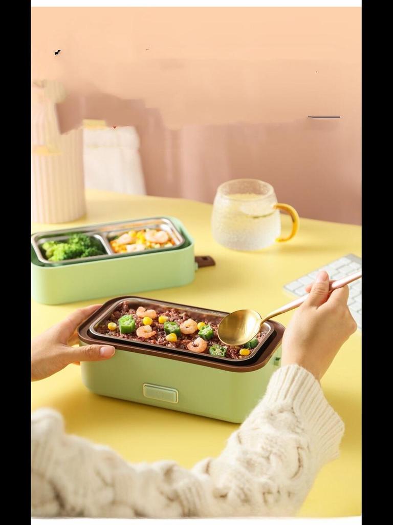 Elektrische Lunchbox mit Doppelspannung, Heiz- und Dampffunktion und Wärmespeicherung