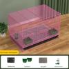 Large Indoor Quail & Chick Cage for Quails, Call Ducks, and Ducklings - Free Shipping