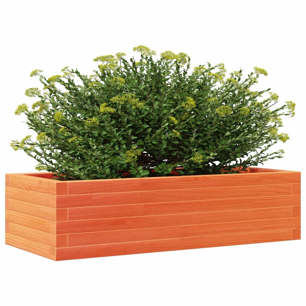 Plant Pot Wax Brown 90 X 40 X 23 Cm Solid Pine Wood