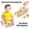 Montessori Infant Wooden Toys Coin Ball Busy Drum Color Shape Cognition Match Educational Sensory Toy Baby Teaching Aid Gifts