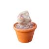 Feng Shui Crystal Stones Potted Plant Mini Decorative Rhinestone Potted  Meditation