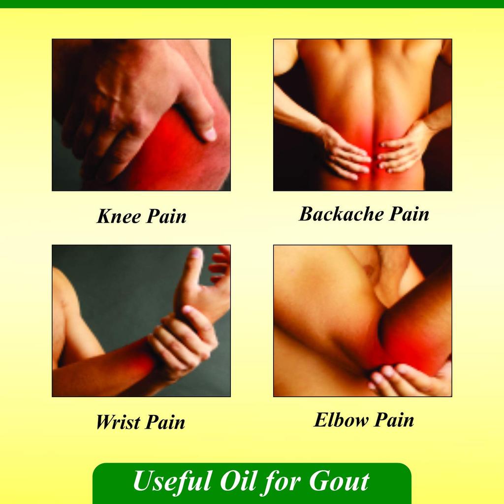 Baidyanath Mahanarayan Taila Natural Joint Pain Relief Oil 50 ml Pack of 2 Ayurvedic Massage Oil