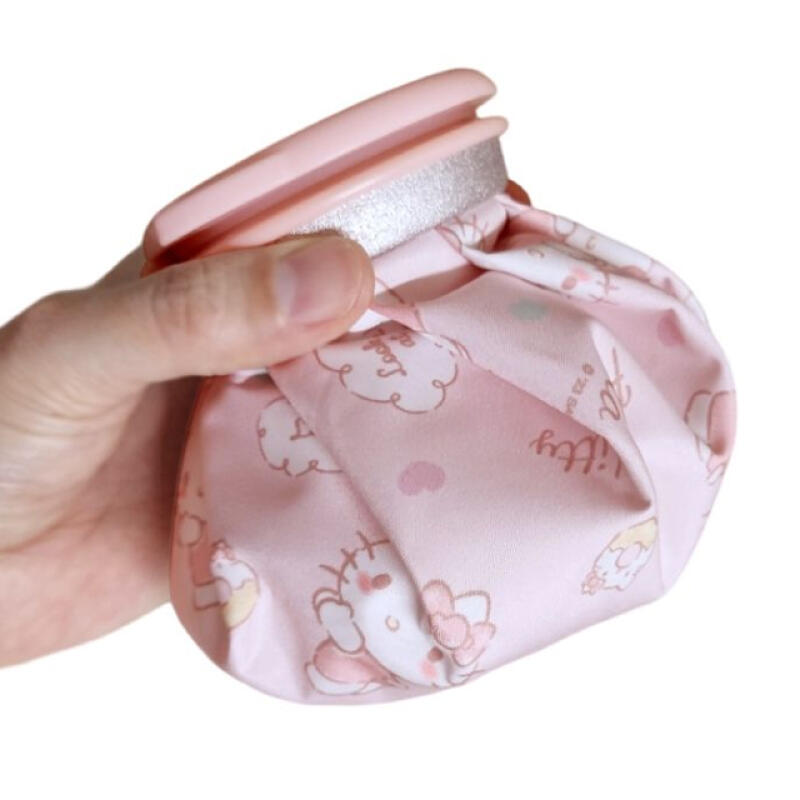 

[Sanrio] Ледяной пакет Hello Kitty S Single product