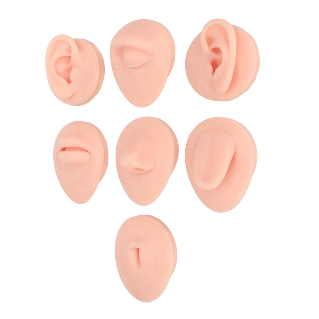 Silicone Body Part Model Soft Silicone Ear Mouth Nose Eye Tongue Navel Model with Display Rack for Teaching Display