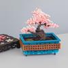 Kawada Parlor Premier Bonsai (Cherry Blossom) 80-57232