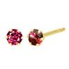 Sears 10K Yellow Gold Stud Earrings with Women's 6-Prong Ruby, Se56-0007-yg