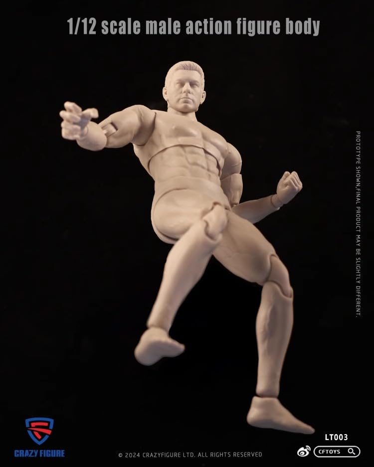 [TOYBARJAPAN] 1/12 Scale Action Figure CRAZY FIGURE LT003 Male Movable Action Articulated Body and Head