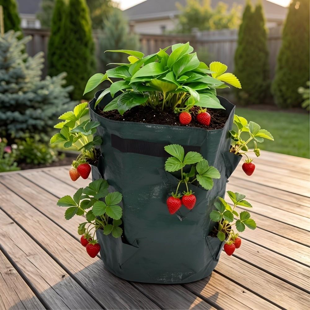 2PCS PE Strawberry Planter Bags 10 Gallon with 8 Pocket Strawberry Planting Bags with Handles Easy Moving