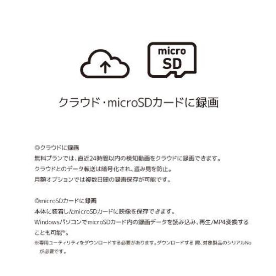 IeCame cameră de rețea RS-WFCAM1