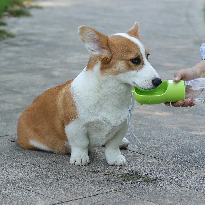 2 In 1 Pet Dog Water Bottle Cat Food Dispenser Portable Multifunctional Drinking Bowl For Small Large Dogs Travel Puppy Supplies
