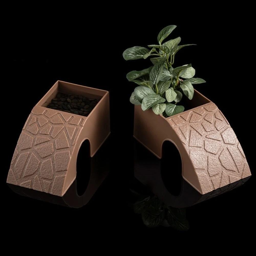 With Moss Tray Reptile Hideout Cave Anti Drowning Water Dispenser Reptile Feeding Box  Pet Breeding