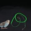 1Pc Parrot Starling Pet Bird Leash Kit Anti-bite Flying Training Rope for Bird Pet Cockatiel Stretch Length 3M/6M/10M/15M/20M