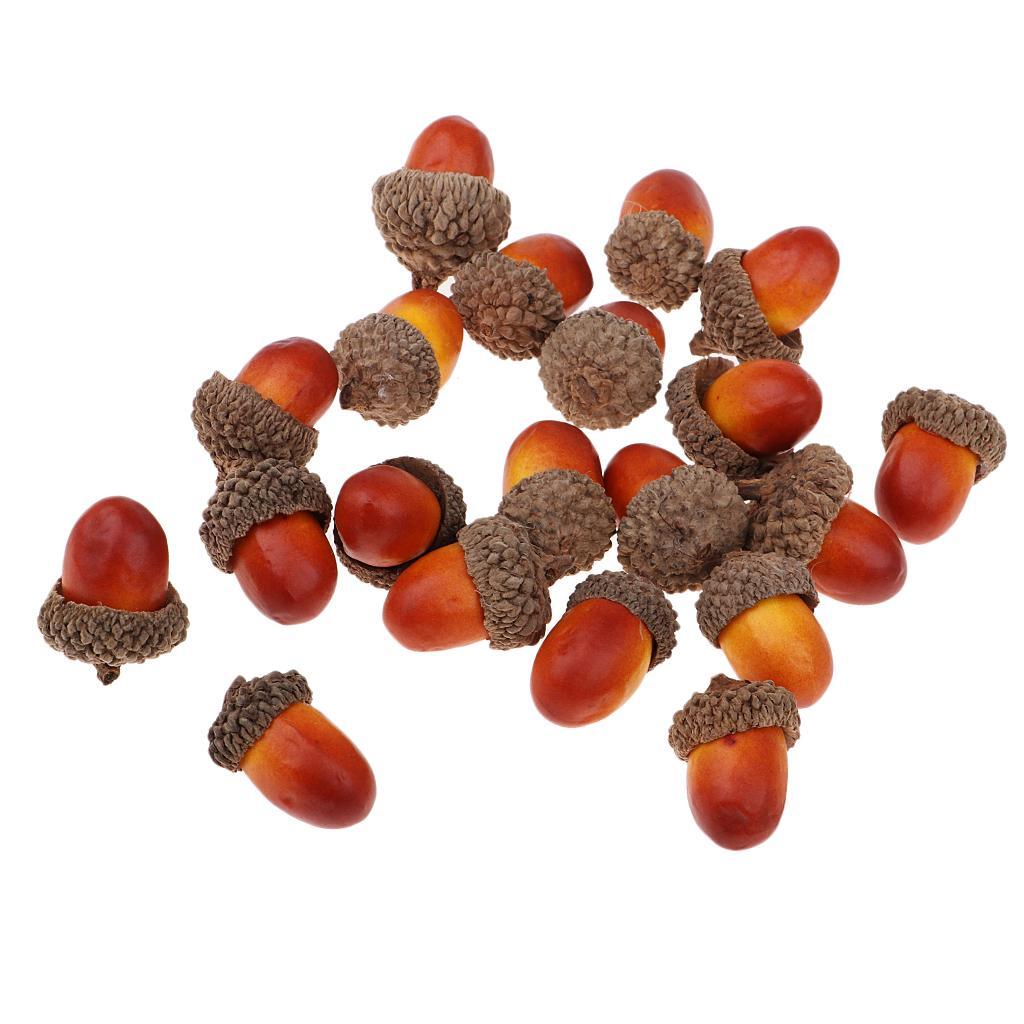 100Pcs Natural Acorns Real Acorns Caps Home DIY Christmas Natural Acorn