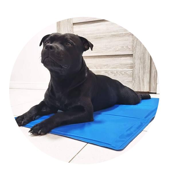 Gel COOLING Mat for DOG CAT Large Waterproof, Various Sizes!