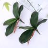 Faux Orchid Leaves, 2 Pack 8 Inch Artificial Phalaenopsis Stems Leaf Real Touch Orchids Leaf Artificial Cymbidium Flower Foliage Real Latex Touch