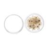 Nail Art Natural Card Jewelry Pressed Flower Don't Forget Me Forget-Me-Not Dried Flowers