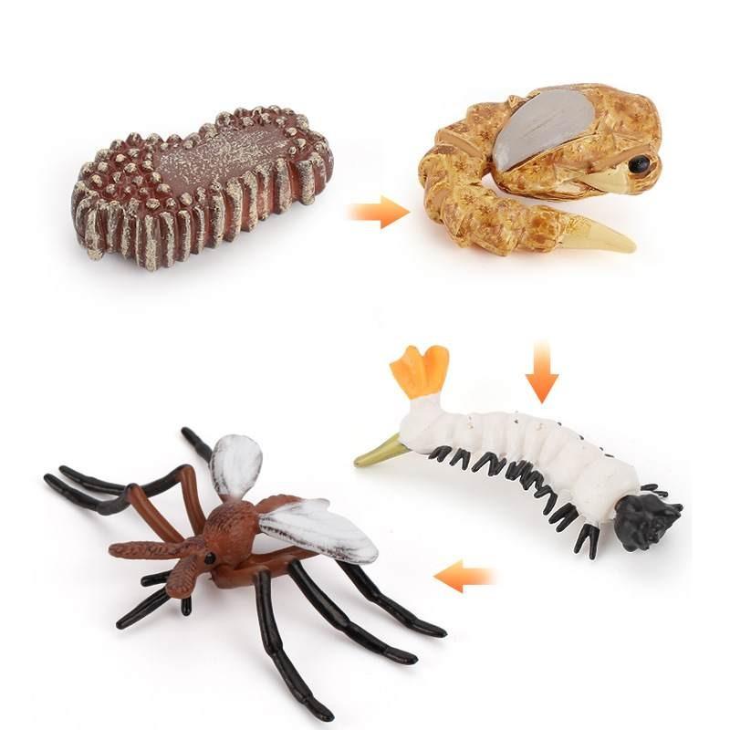 Animal Model Set Pvc Collectible Insect Bird Reptile Amphibian For Education And Display
