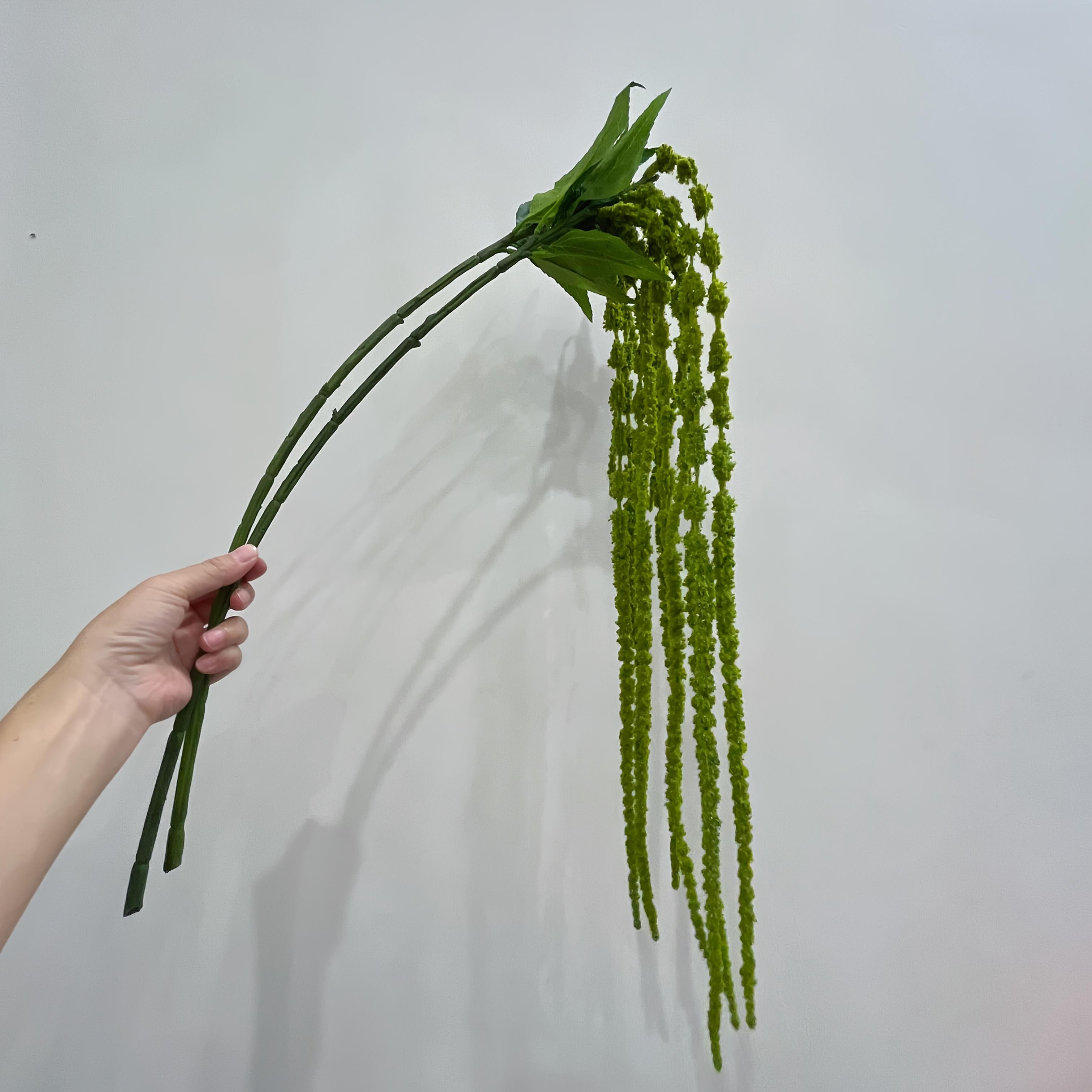 

Елегантні штучні квіти Амарант довгохвостий. Ідеально підходить для весілля, дому, офісного декору та фотореквізиту. Чарівна ідея для подарунка. зелений