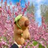 Genuine Lotus Leaf Kapibara Doll Cute Capybara Jun Plush Toy Children's Sleeping Pillow Ragdoll