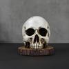 Totenkopf Messerhalter, Gruseliger Skelettkopf Messerständer mit 7 Schlitzen, Halloween Horror Messerhalter für Gothic Küchenarbeitsplatten-Dekoration