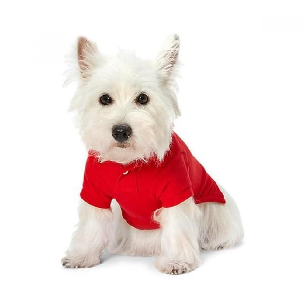 Ralph Lauren Polo Bear Cotton Mesh Dog Polo Shirt Hmpogfthr920005600