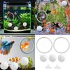 Betta Fish Training Rings Set with Nitrifying Ball and Suction Cup for Aquariums Water Quality Maintenance Enrichment