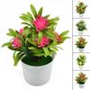 Artificial Plant Lily Flower Potted Plants Home Wedding Living Room Table Shop Decor Artificial Aquatic Plants Bonsai Plastic