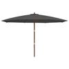 Anthracite Sun Umbrella with Wooden Pole 400 X 273 Cm