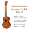 Famous FLS-60 Long Neck Soprano Ukulele (Made In Japan with Mahogany)