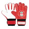 Liverpool FC Boys Goalkeeper Gloves