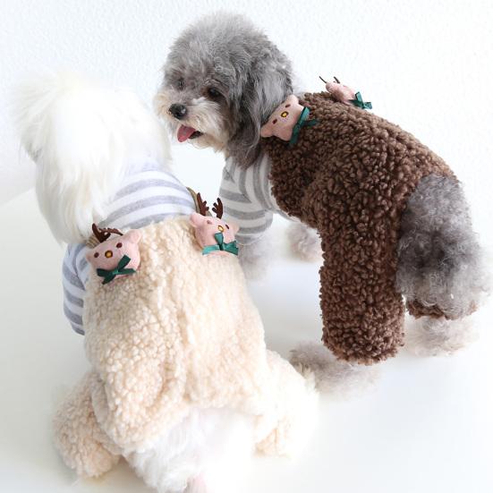 nice dog clothes
