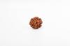 Natural 9 Mukhi Rudraksha Bead – Nepali Origin | Powerful Bead for Durga Blessings, Fear Removal, Vitality & Energy Shield | Organic & Lab Certified