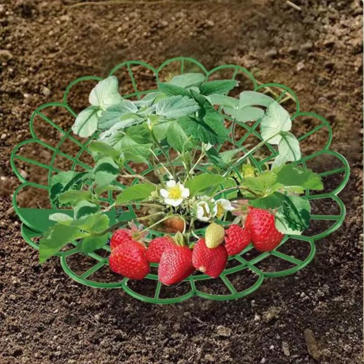 Strawberry Plant Supports with 3 Sturdy Legs Strawberry Growing Racks Protector Frame Holder Cage From Mold Rot Dirt