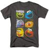 Sesame Street - Group Squares - Unisex Short Sleeve Children's T-shirt - Gray