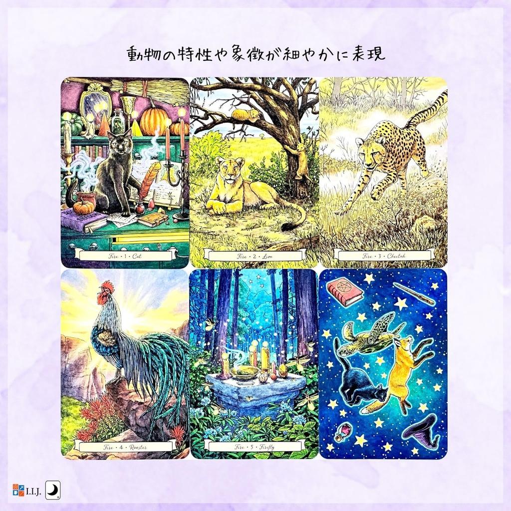 I.I.J Oracle Cards Everyday Witch's Familiars Oracle English Affirmations Fortune Telling Authentic Product